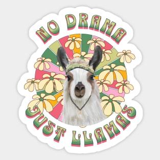 No Drama Just Llamas - Boho Llama Sticker